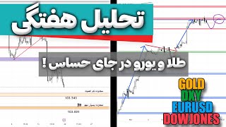 تحلیل هفتگی فارکس | طلا و یورو در جای حساسی هستند