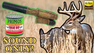 Sound Only: 2-3 Yr Old Young Buck Breeding Grunt + Doe Estrus Bleat (Play While Hunting) Deer Call