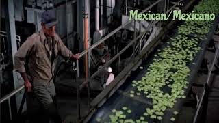 Soylent Green Archieves - Eeeeh ! ( Multilanguage )