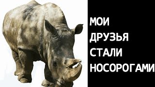 Мои друзья стали носорогами