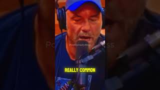 Joe Rogan explains what happened to the dinosaurs🦖☄️😨