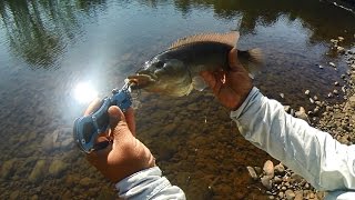 Pesca de SAICANGA e JACUNDÁ com iscas micro Marine Sports