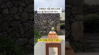 1박 20만원대에 돌담 자쿠지에 별채 다이닝 룸이 있는 숙소로 서쪽에서 가장 제주스러운 숙소, 바로 여기..! #숙소추천 #제주서쪽여행 #제주감성숙소 #제주자쿠지 #제주도2박3일