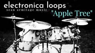 Electronica Loops Drumless Backing Track (125 BPM) "Apple Tree"