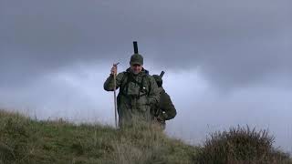 Hind stalking in the highlands of Scotland.