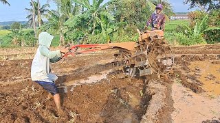 Si bungsu turun tangan ...!! Traktor boxer nyingkal kurang air