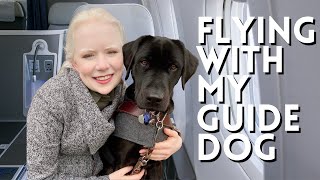 How I Fly With My Guide Dog