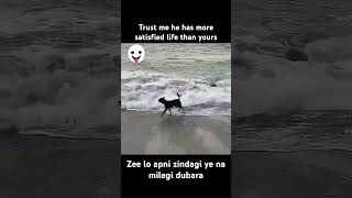 Zindagi na milegi dubara 😃🤣 #youtubeshorts #viral #trending #2024