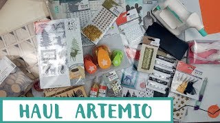 💚***Super Haul Artemio***💚