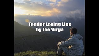 Tender Loving Lies by Joe Virga