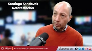 Santiago Sandoval l Reforestación