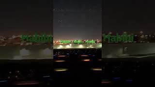 Spectacular Landing at Dubai Airport | Stunning Aerial Views ✈️🌆