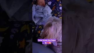 Puppy Luna protecting and comforting the newborn Baby 🐾🐶❤️