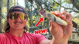 Catching My FIRST TOPWATER FISH Inshore! (and Inshore BFS!)