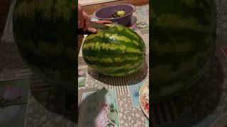 БОООЛЬШОЙ ОГРООООМНЫЙ АРБУЗ!!!🍉