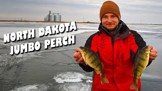 Early Ice Jumbo Perch in North Dakota! Ice Fishing North Dakota