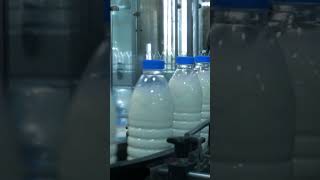 Modern Dairy Farm Technology | Conveyor Milk Bottles #shots #viral #summerofshorts