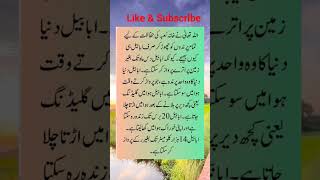 ابابیل اور اس کی برکت #shortsviral #youtube #islamicshort