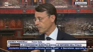 Andrea Mandelli al TgParlamento del 27 febbraio 2019