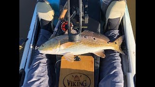 Redfish on the fly 2