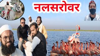 Nalsarovar Bird Sanctuary |Best place to visit near ahmedabad