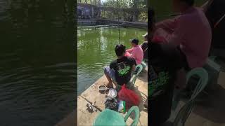 perang extra c pasca lomba ikan nila 250kg