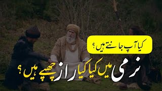 Kya ap jantey hein k Narmi mein kya kya raaz chupey hein? Juma Bayan by Molana Muhammad Azeem