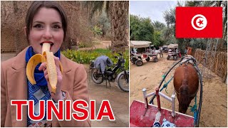 Taking a horse carriage into Nefzaoua oasis zone & eating fresh fruit! Tunisia 🇹🇳