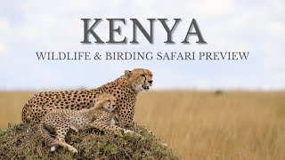 Kenya Birds & Wildlife | Safari Preview | Naturalist Journeys