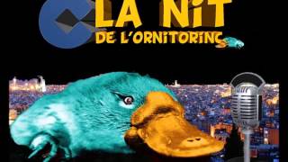 LA NIT DEL ORNITORINGO SE BURLA DE ALBERTO CANOSA