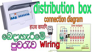 DB wiring | single phase mcb distribution box connection diagram | house wiring | Electronic LK