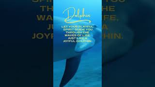 Dolphin