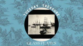 Tuesday Treasure: Glass Plate Negatives