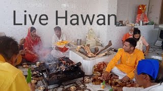 Sampoorn Hawan Live From Kalka Mandir Katra|| #hawan #hawankund #live #livestream #pujavidhi