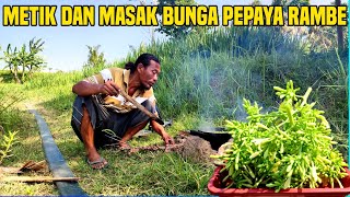 JAROT METIK DAN MASAK BUNGA PEPAYA..