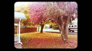 Kids playing on Autumn leafs 2013