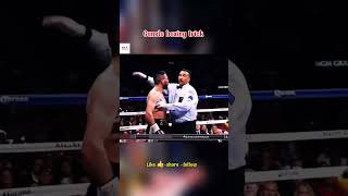 Tuyệt chiêu Feint - uppercut của Canelo #boxing #boxingtraining #boxingworkout #boxinglife