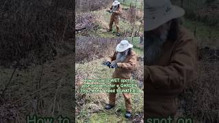 Building the soil and how to use a wet spot on your property. #permaculture #foodforest