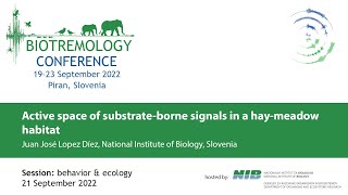 Active space of substrate-borne signals in a hay-meadow habitat