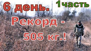 6 день. 1 часть. Рекорд - 505 кг. "Клондайк" радует!