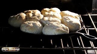 Southern Biscuits with No Rolling Pin! -  Useful Knowledge