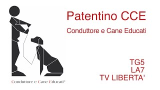 PATENTINO CCE 🦮 SERVIZI TG 📺 CORSO GRATUITO CONDUTTORE E CANE EDUCATI PER UNA CIVILE CONVIVENZA