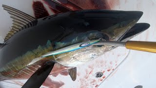 Episode 62 : Jigging And Popping Yellowfin Madness In New Jersey