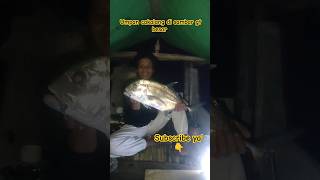 umpan cakalang di sambar gt besar. #viral #fishing #fishingboat #fypシ #fypyoutube #fypviral