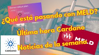 Directo 17/07/21 ¿MELD es un proyecto fraudulento? + Contratos inteligentes + Noticias Cardano