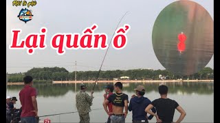 Câu lục I Quấn ổ trắm đen, giật bong nổ quá nhiều I Fishing met a huge meeting huge black carp