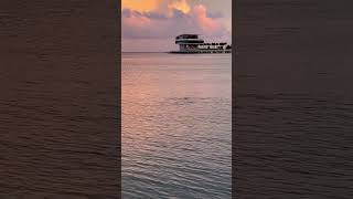 Beauty of Nature ( Sunset)…#saltlife #Floridalife  #shorts ￼