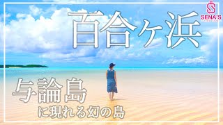 【与論島で予約必須！オススメ度120％】百合ヶ浜ツアーへ与論の達人と行く！（シュノーケリング・ウミガメウォッチ・星空フォト付き）