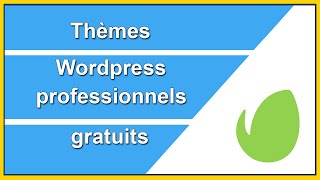 Thème Wordpress Professionnel Gratuit