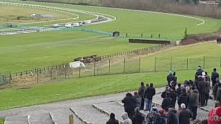 Video all finals Irish Cup coursing meeting 2024.